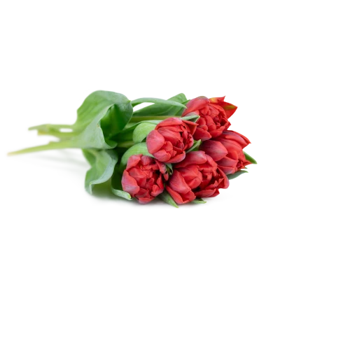 Custom Double Tulip Bouquet